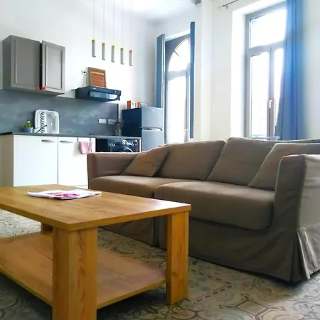 Le Cours Foucault - 5 - 12 Couchages * Montauban