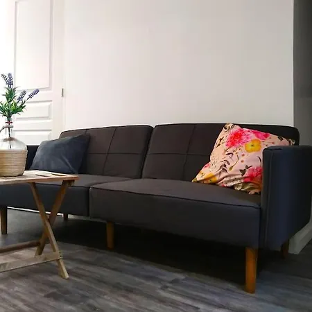 Le Cours Foucault - 3 - 8 Couchages Lägenhet Montauban