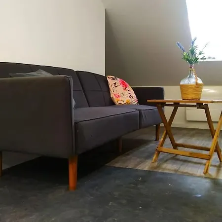 Apartmán Le Cours Foucault - 5 - 12 Couchages *