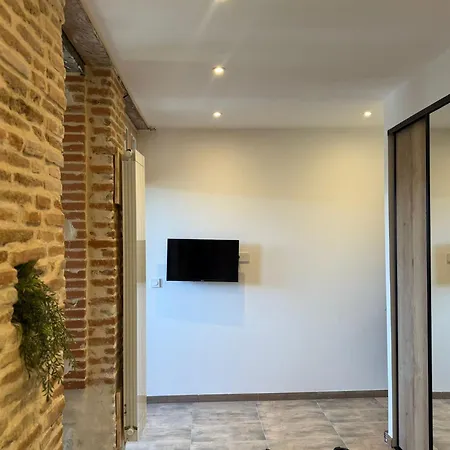 Le Cours Foucault - 5 - 12 Couchages * Montauban