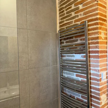 Apartmán Le Cours Foucault - 5 - 12 Couchages Montauban