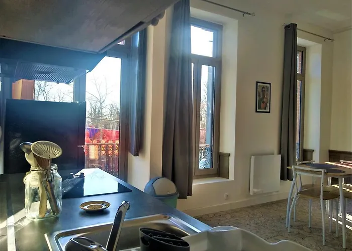 Le Cours Foucault - 3 - 8 Couchages Montauban