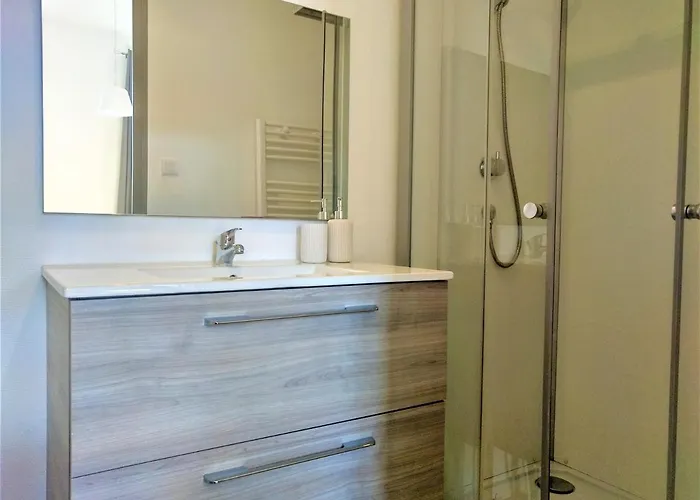 Apartamento Le Cours Foucault - 3 - 8 Couchages Montauban