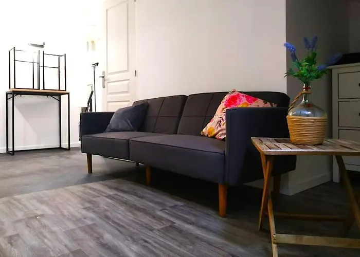 Le Cours Foucault - 3 - 8 Couchages Apartamento