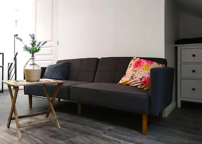 Le Cours Foucault - 3 - 8 Couchages Апартаменты Монтобан